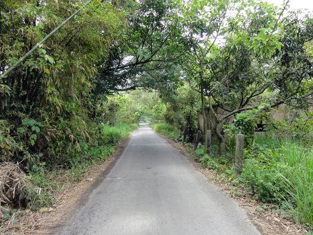 TAIWAN