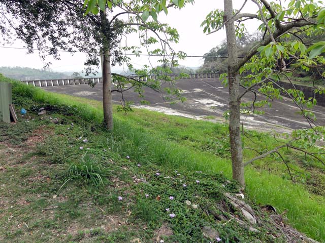 TAIWAN